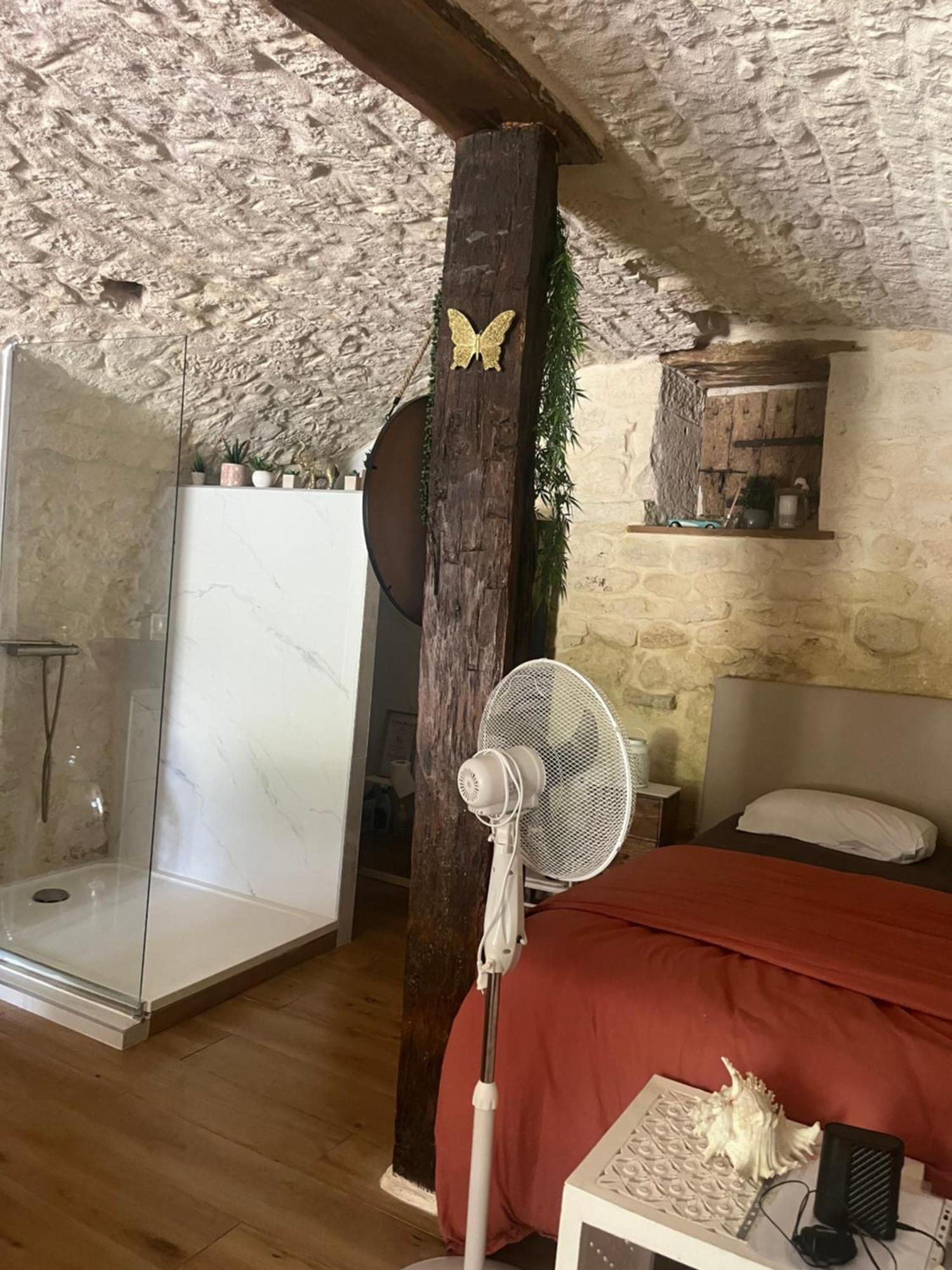 Voute Des Anges Type Loft Sans Cloison Lägenhet Castelnau-Montratier Exteriör bild